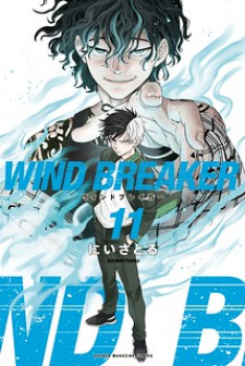 Wind Breaker (NII Satoru)